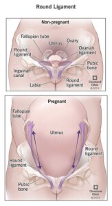 Pelvic Pain During Pregnancy